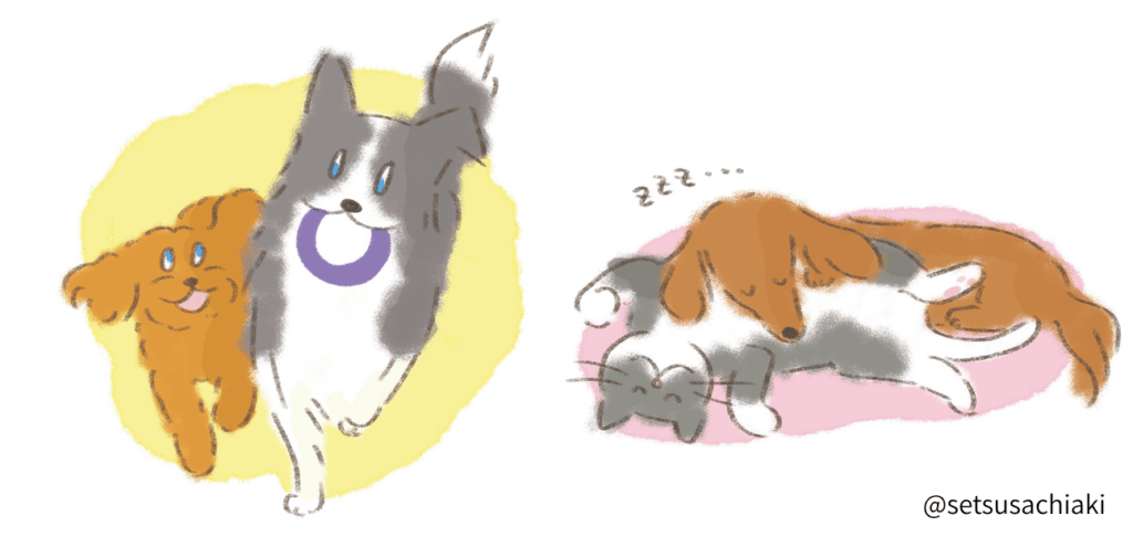 セツサ チアキさんにご提供いただいたイラスト