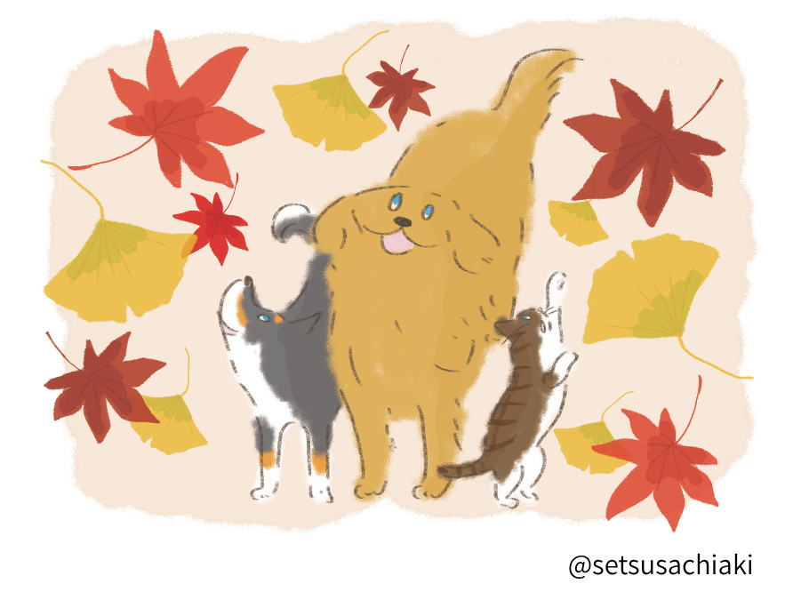 セツサ チアキさんにご提供いただいたイラスト